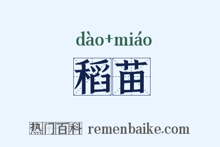 稻苗是什么意思的图片